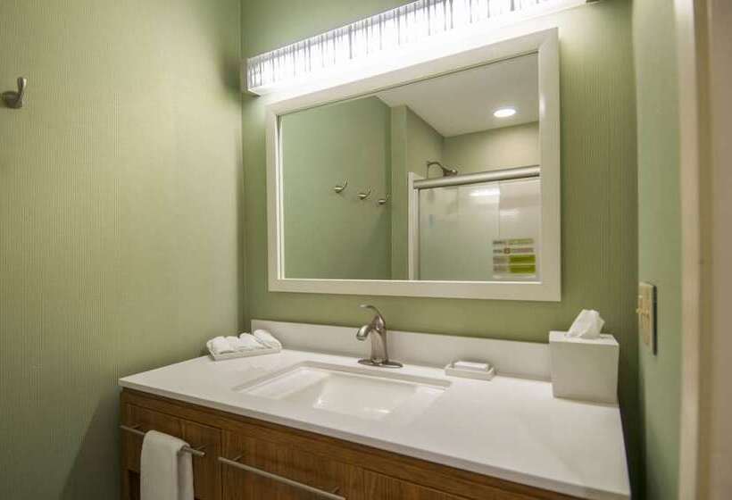高级工作室, Home2 Suites By Hilton Midland