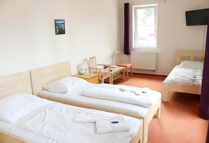 اتاق استاندارد سه نفره, Petra