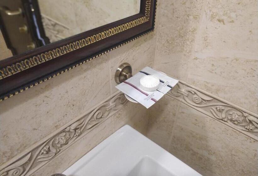 חדר סטנדרט יחיד, Vlg