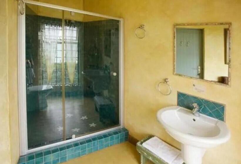 غرفة ديلوكس, Valparaiso