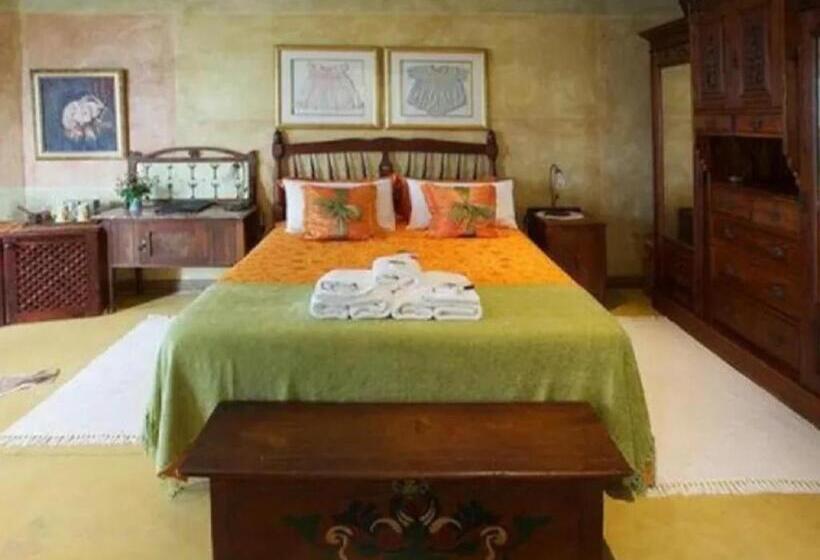 غرفة ديلوكس, Valparaiso