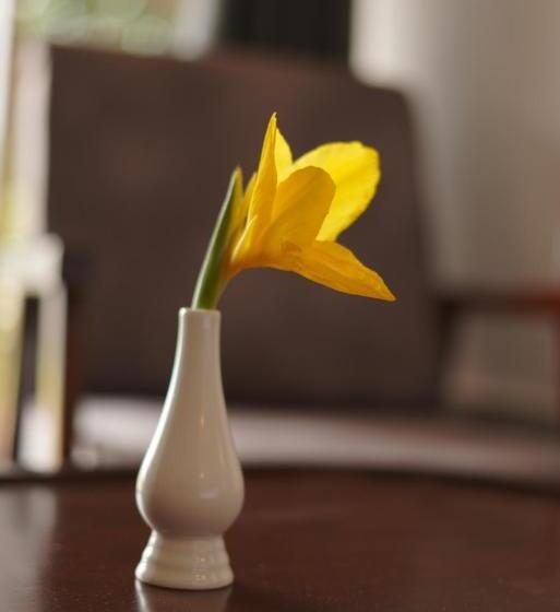 סוויטה נוף לבריכה, Ravishing Retreat Resort