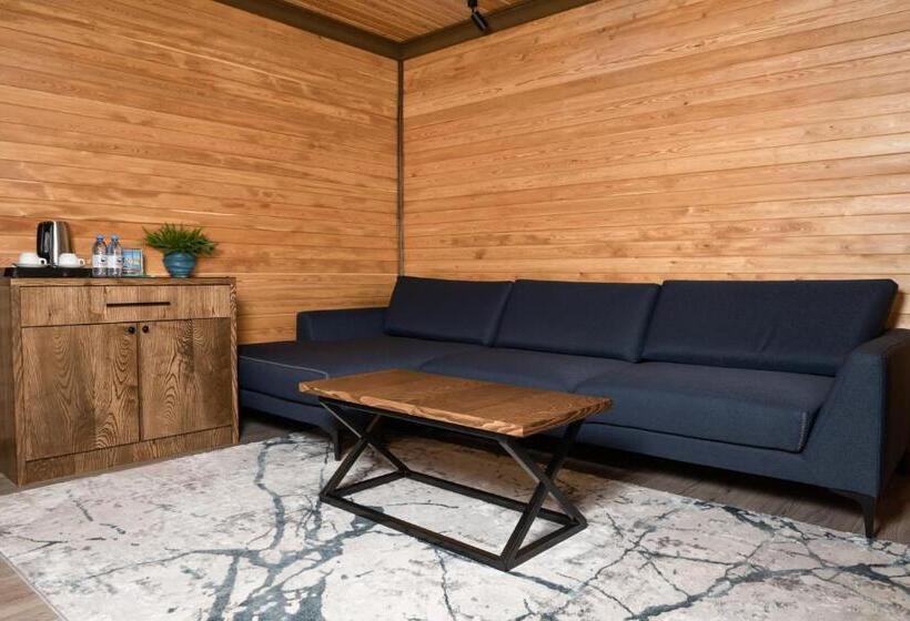 اتاق سوپریور, Balqaragai Forest Family Resorts