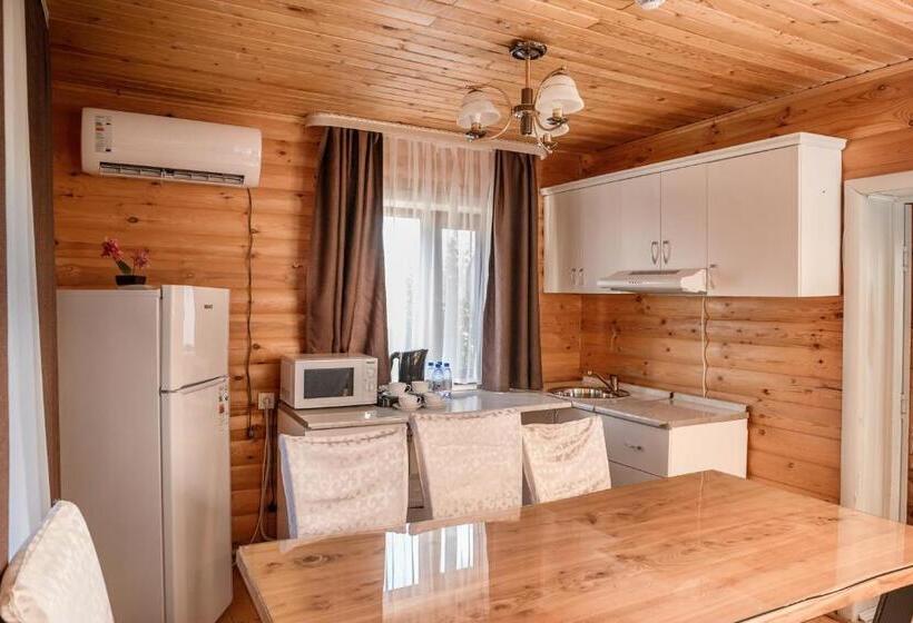 ویلای 2 خوابه, Balqaragai Forest Family Resorts