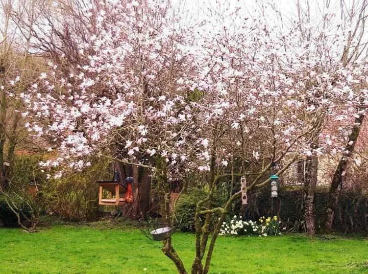 Standard-huone, Les Ondines