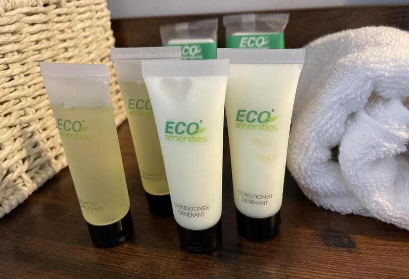 标准间, Grand Central Hotel Richmond