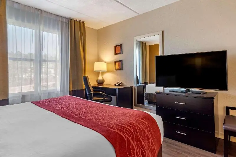 キングサイズベッドのスタンダードルーム, Holiday Inn Express Xinji City Center, An Ihg