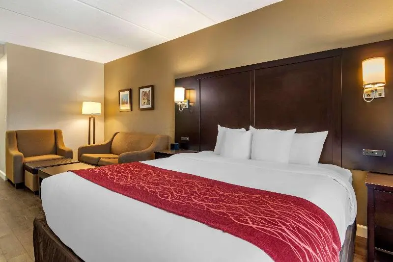キングサイズベッドのスタンダードルーム, Holiday Inn Express Xinji City Center, An Ihg