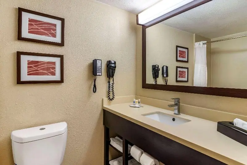 キングサイズベッドのスタンダードルーム, Holiday Inn Express Xinji City Center, An Ihg