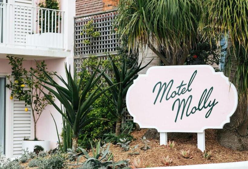 스탠다드 룸 킹사이즈 침대, Motel Molly   Boutique Hotel Mollymook