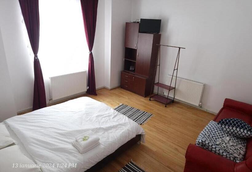 家庭间, Casa Flavius