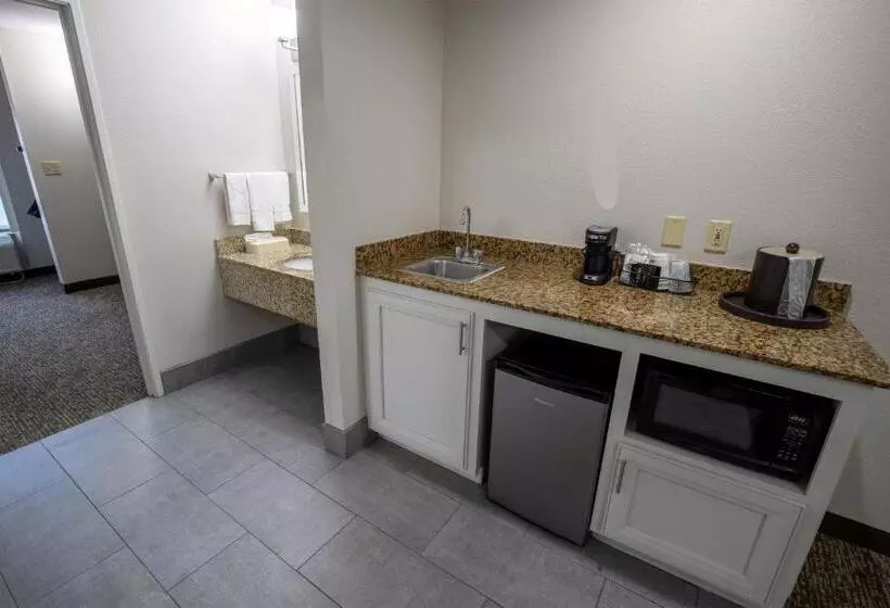 スイート, Best Western Plus Lafayette Vermilion River Inn & Suites