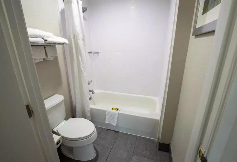 スイート, Best Western Plus Lafayette Vermilion River Inn & Suites