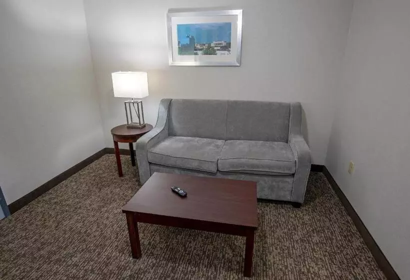 スイート, Best Western Plus Lafayette Vermilion River Inn & Suites