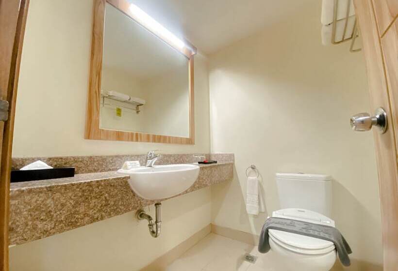 חדר סופריור, Grand Zuri Dumai