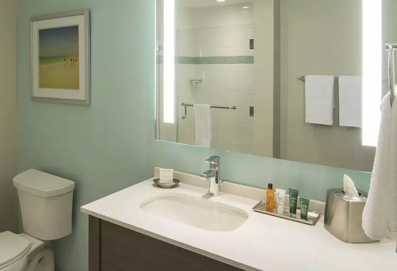 3 Bedroom Suite