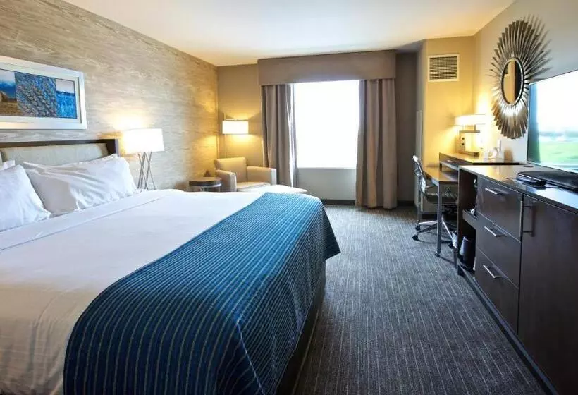اتاق استاندارد با تخت بزرگ, Holiday Inn Express Fargo Sw   I 94 Medical Center By Ihg