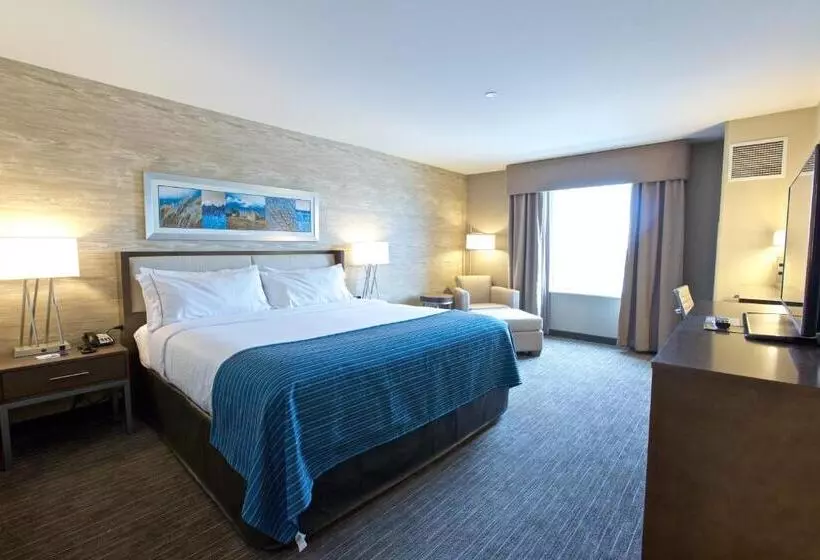اتاق استاندارد با تخت بزرگ, Holiday Inn Express Fargo Sw   I 94 Medical Center By Ihg