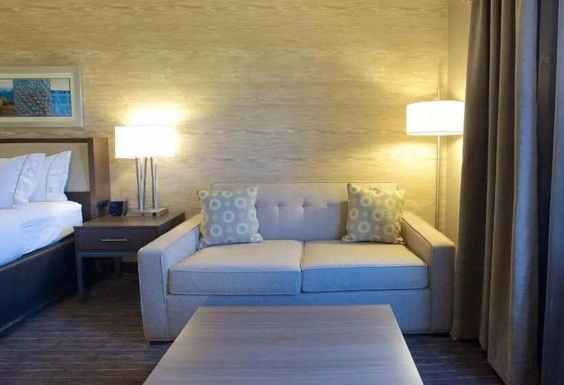 اتاق استاندارد با تخت بزرگ, Holiday Inn Express Fargo Sw   I 94 Medical Center By Ihg