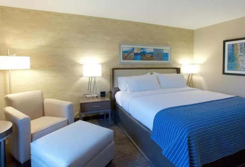 اتاق استاندارد با تخت بزرگ برای معلولان, Holiday Inn Express Fargo Sw   I 94 Medical Center By Ihg