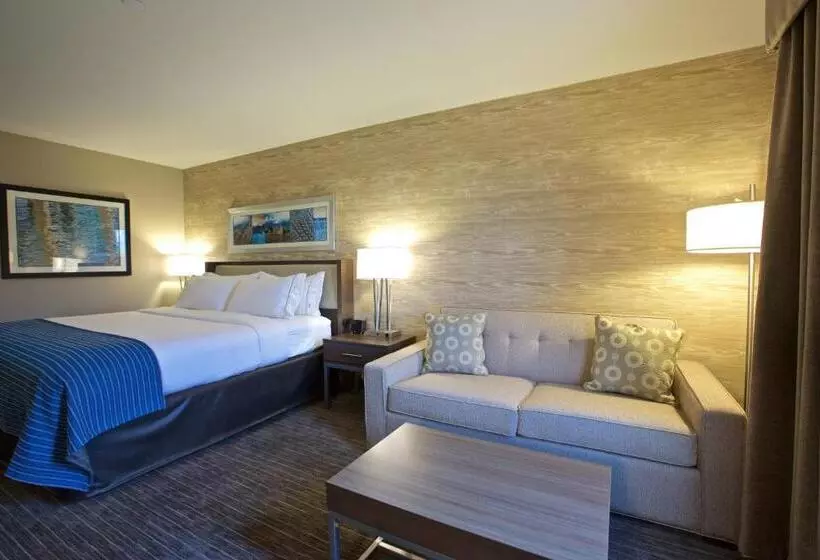اتاق لوکس با تخت بزرگ, Holiday Inn Express Fargo Sw   I 94 Medical Center By Ihg