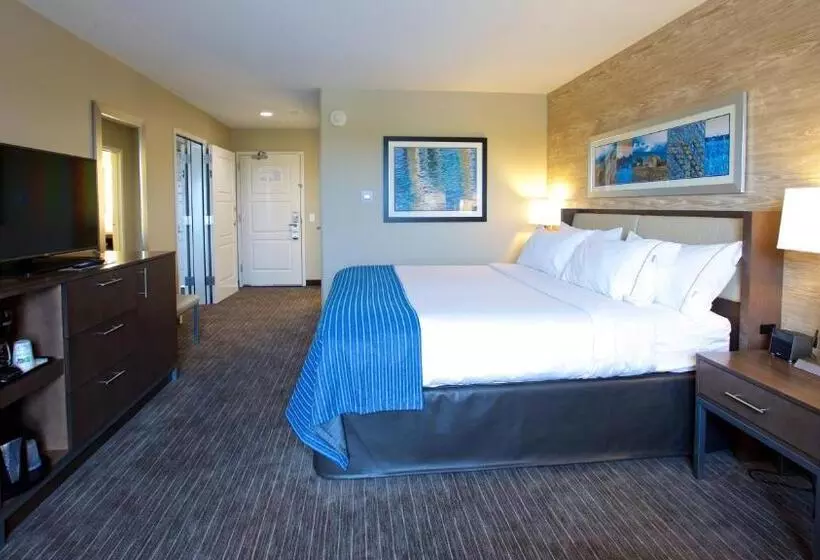 اتاق لوکس با تخت بزرگ, Holiday Inn Express Fargo Sw   I 94 Medical Center By Ihg