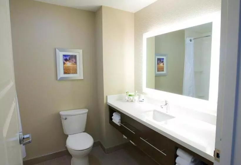 اتاق استاندارد, Holiday Inn Express Fargo Sw   I 94 Medical Center By Ihg