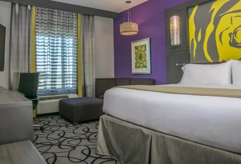 スイート, Holiday Inn Express & Suites Garland E   Lake Hubbard I30, An Ihg