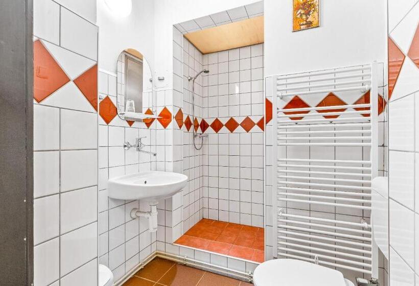 标准单人间, Obecní Dům