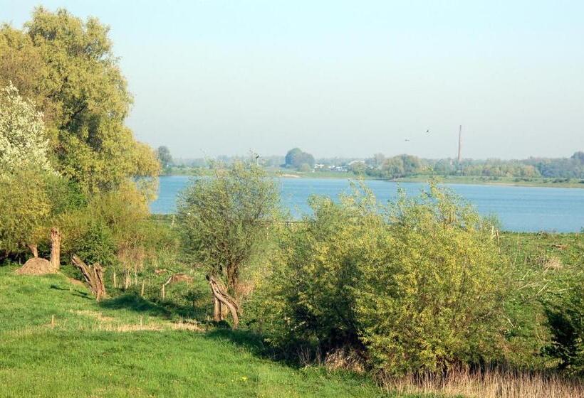 اتاق اکونومی, Restaurant Oortjeshekken