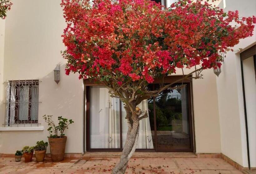 اتاق استاندارد اینتریور, Dar Al Manar