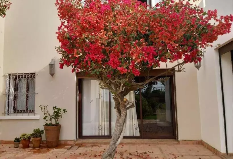 اتاق استاندارد اینتریور, Dar Al Manar