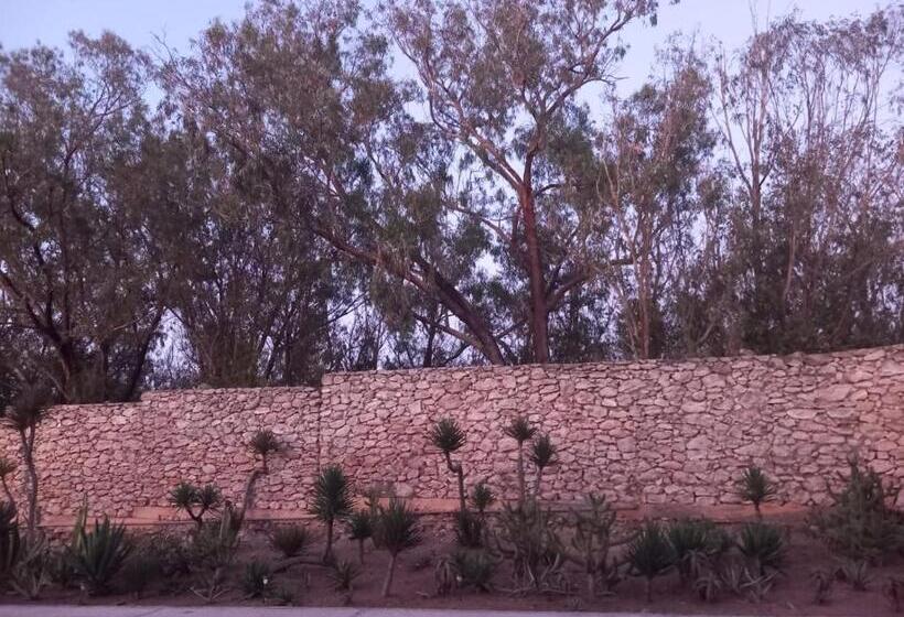 اتاق استاندارد, Dar Al Manar