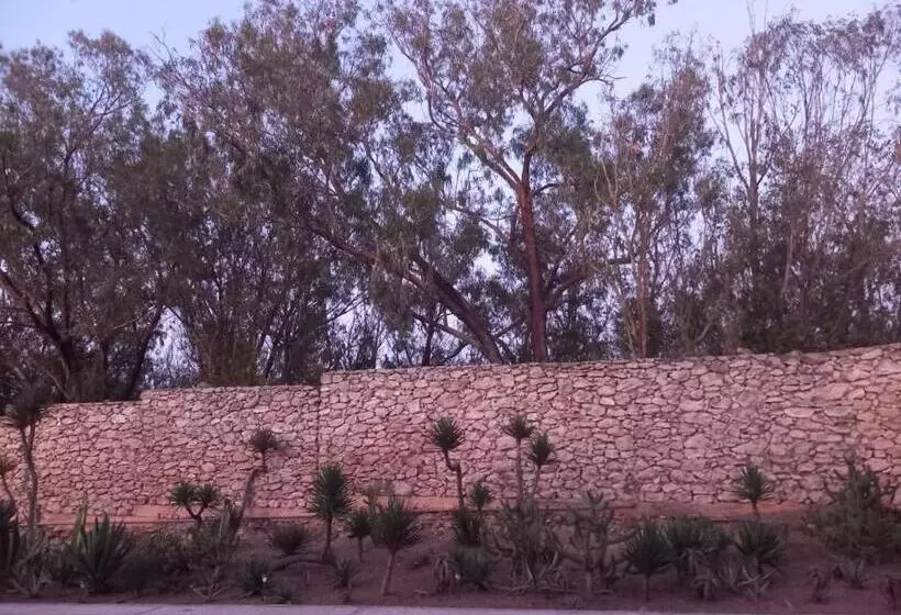 اتاق استاندارد, Dar Al Manar