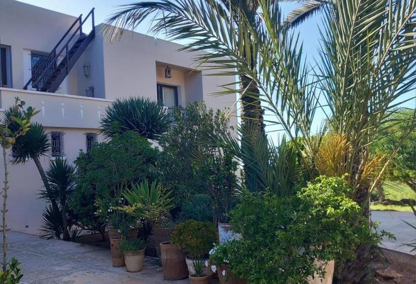 اتاق استاندارد, Dar Al Manar