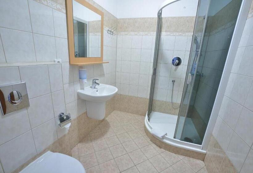 スタンダードシングルルーム, Penzion Best