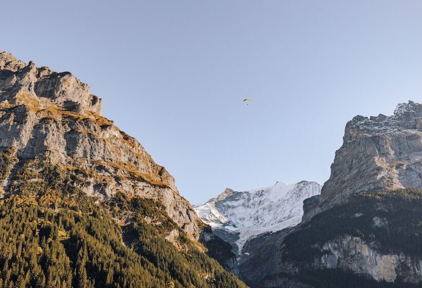 Номер Стандартный с Видом, Fiescherblick