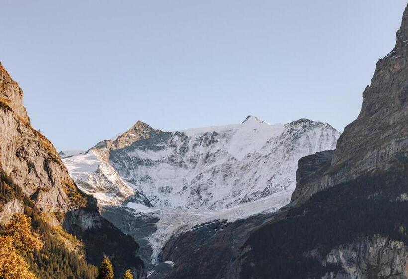 标准间带山景, Fiescherblick