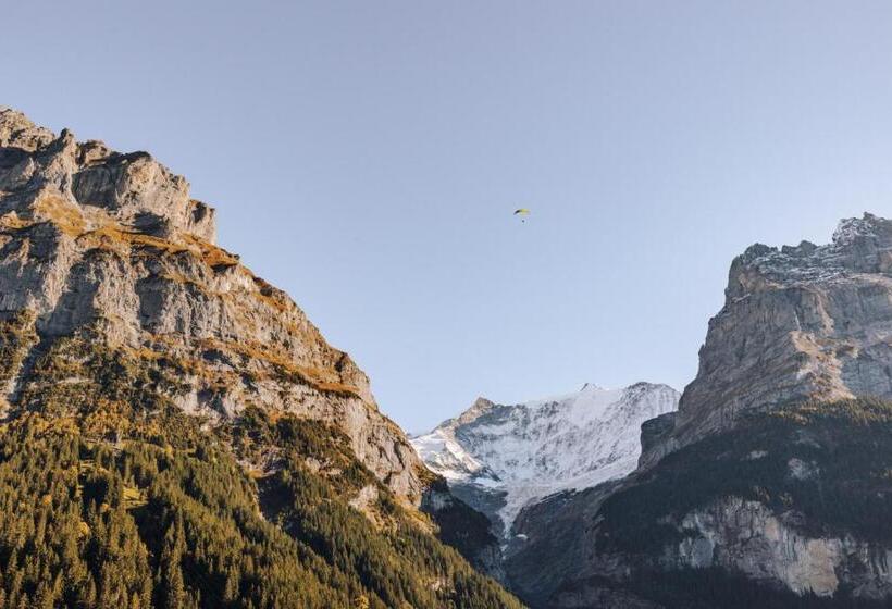 Standardzimmer Bergblick, Fiescherblick