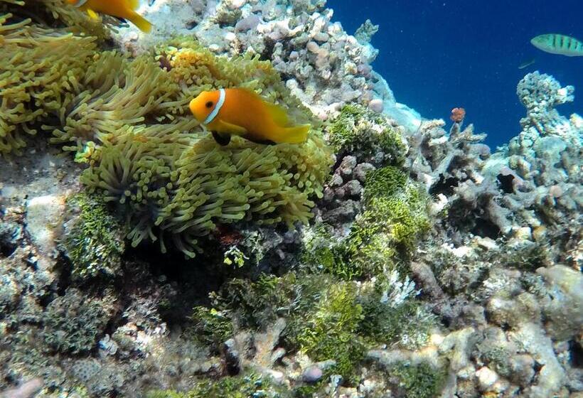 اتاق استاندارد با بالکن, Atoll Residence Dhangethi