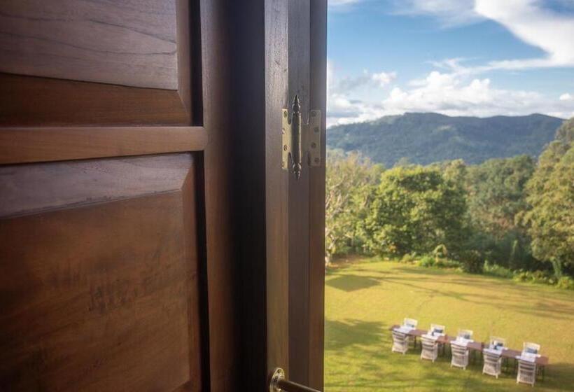 Quarto Superior Cama King, Dendrobium House Near Kandy