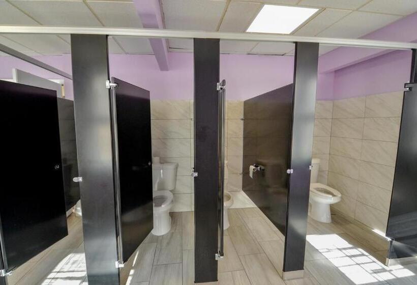 اتاق استاندارد با سرویس بهداشتی مشترک, Michie House In College Hill