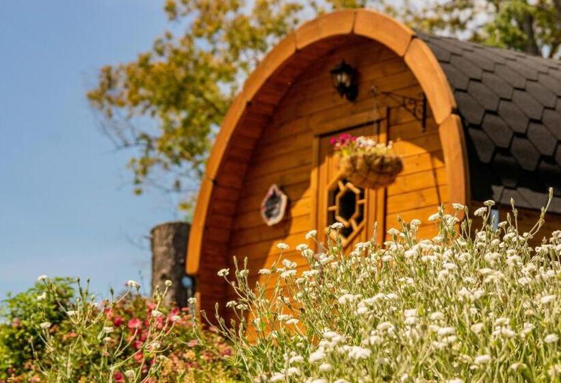 غرفة قياسية مطلة على الجبل, Marlborough Wine Barrel Cabins