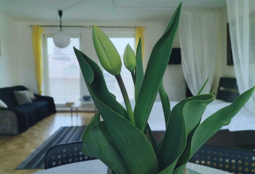 バルコニー付スイート, Penzion Pod Kostelíčkem