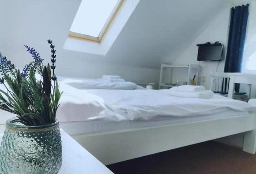Standard-huone Kaupunkinäkymä, Penzion Pod Kostelíčkem