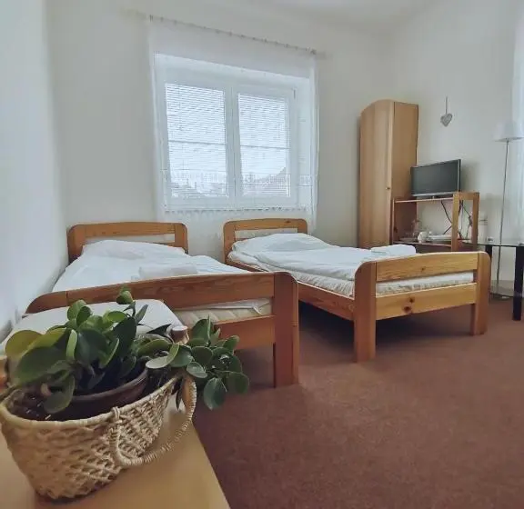 Standard-huone, Penzion Pod Kostelíčkem