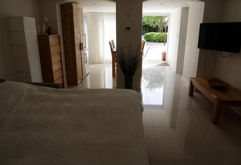 شقة غرفة واحدة مزودة بتراس, Casa Del Cisne