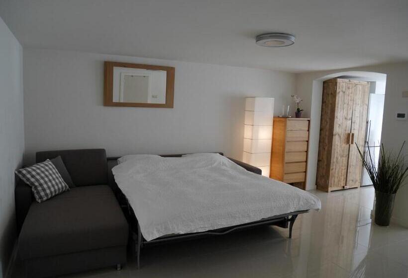 شقة غرفة واحدة مزودة بتراس, Casa Del Cisne