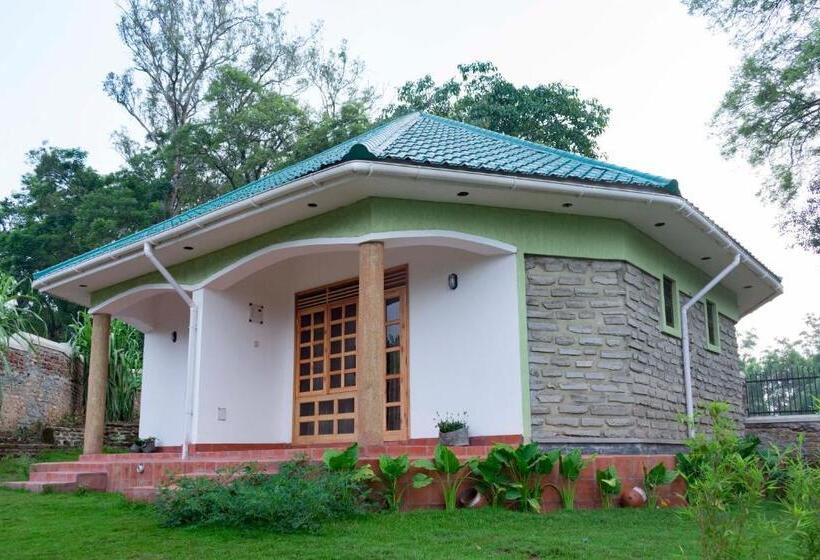 اتاق استاندارد, Tooro Fairway