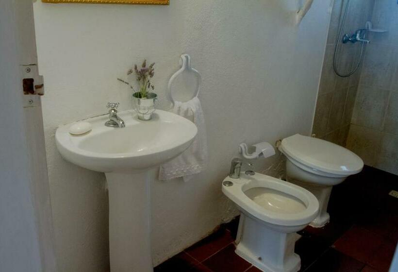 استودیوی استاندارد, Mini Apartamentos